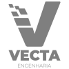 VCT - Logo Cinza